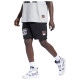 Reebok Ανδρικό σορτς BB Iverson Fleece Short